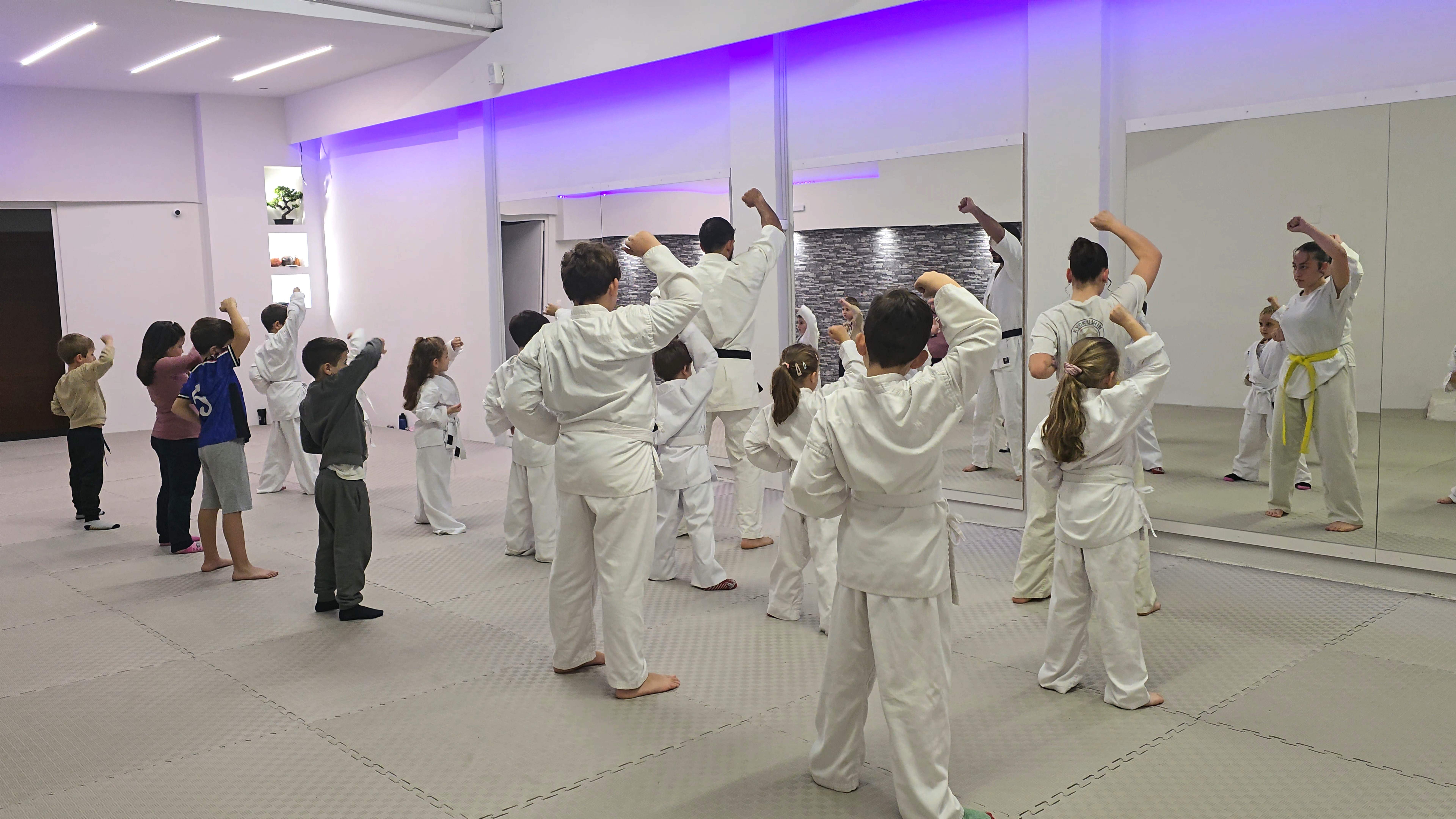 Children's Karate Class
